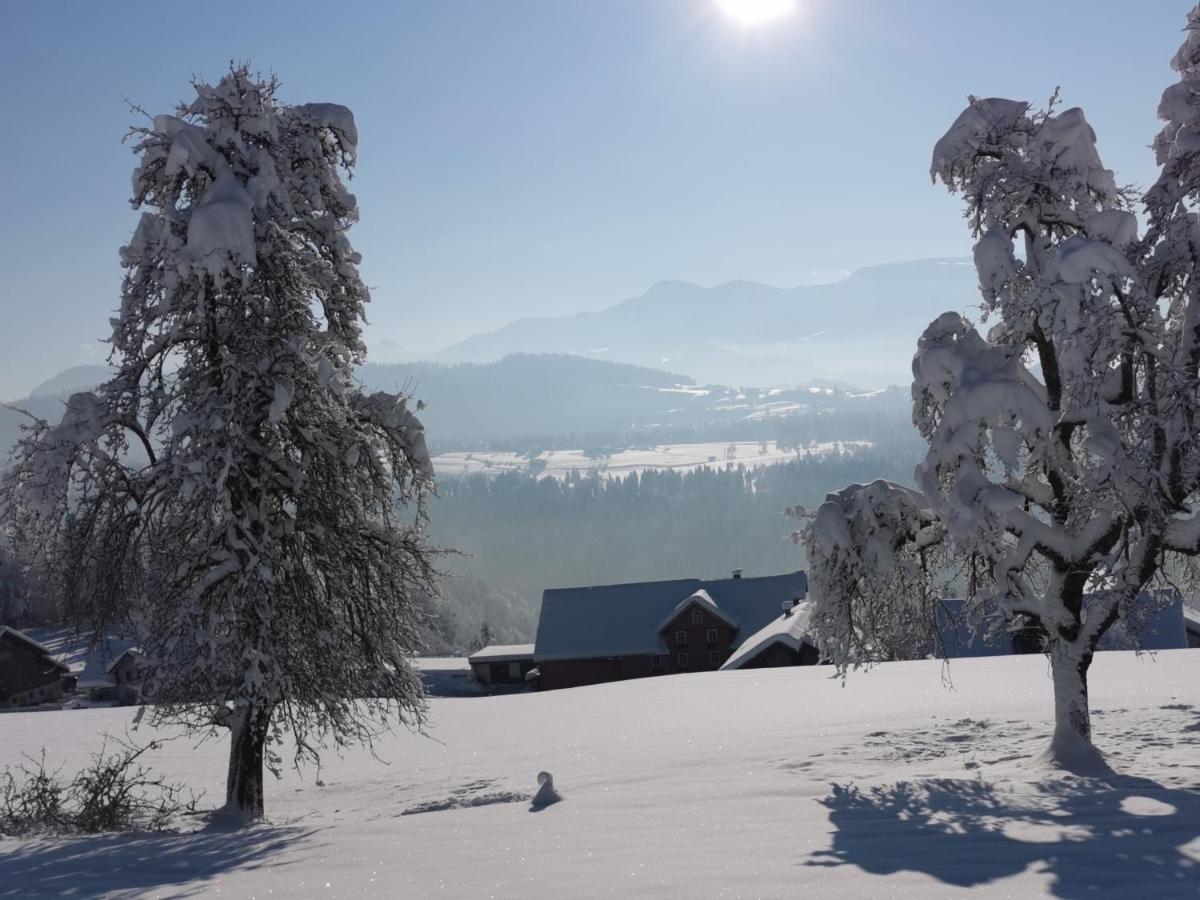 Ferienwohnung Panorama Doren Exteriör bild